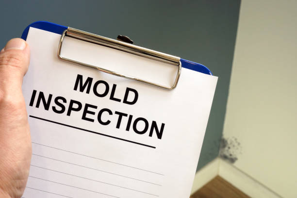 Mold Remediation for Vacation Homes in Briar, TX